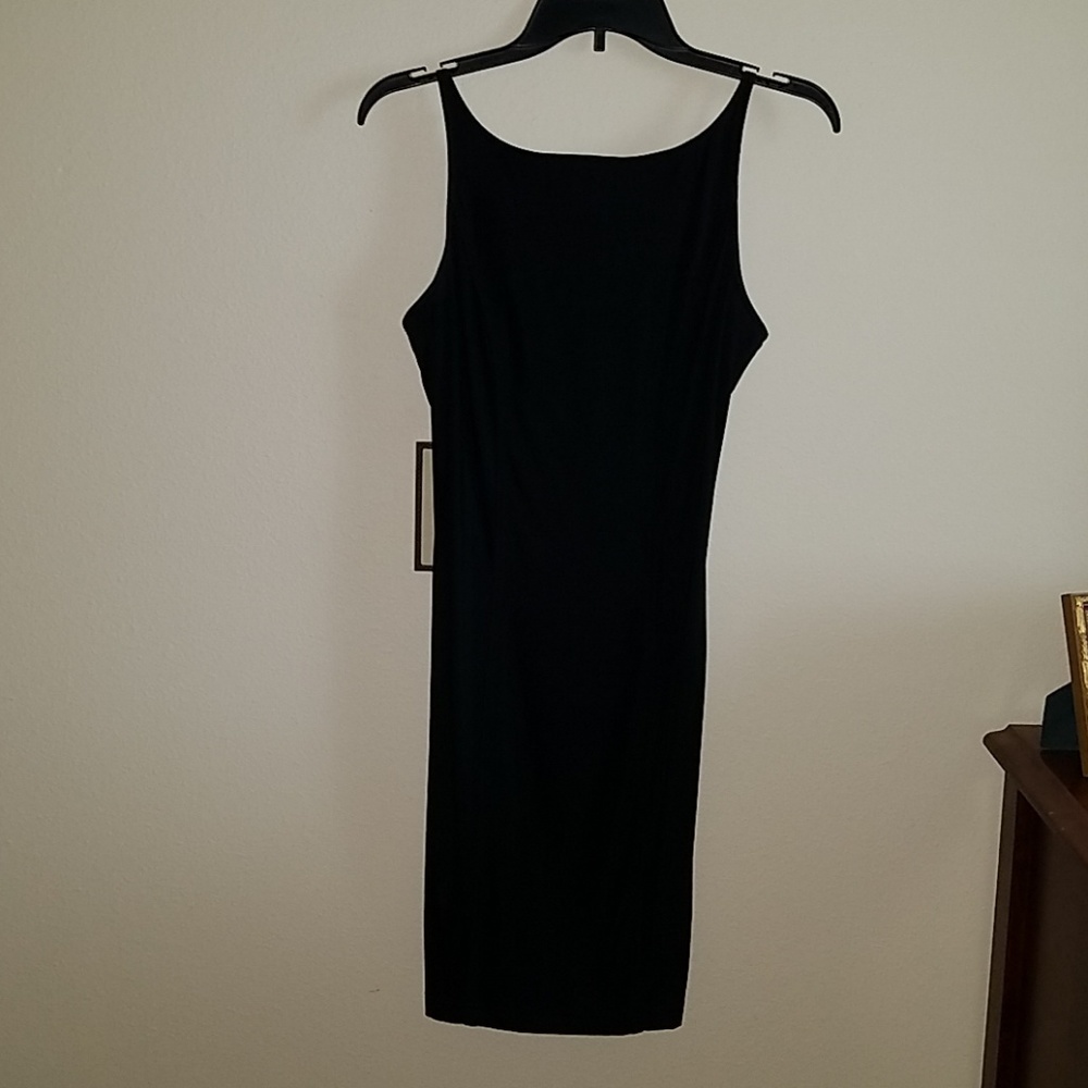 Express nylon dress
